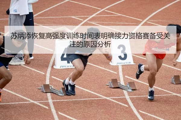 苏炳添恢复高强度训练时间表明确接力资格赛备受关注的原因分析