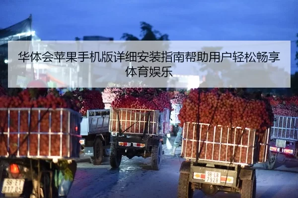 华体会苹果手机版详细安装指南帮助用户轻松畅享体育娱乐