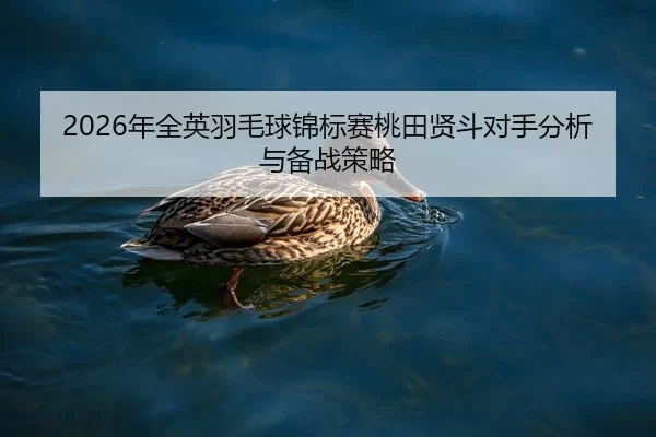 nian-quan-ying-yu-mao-qiu-jin-biao-sai-tao-tian-xian-dou-dui-shou-fen-xi-yu-bei-zhan-ce-lve-2-273.jpg