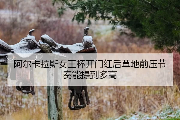 a-er-ka-la-si-nv-wang-bei-kai-men-hong-hou-cao-di-qian-ya-jie-zou-neng-ti-dao-duo-gao-2-376.jpg