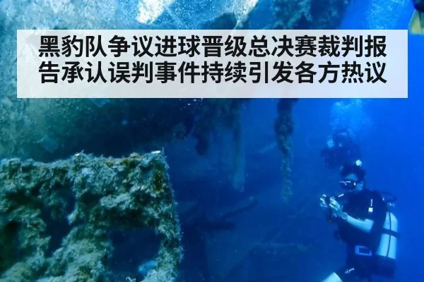 黑豹队争议进球晋级总决赛裁判报告承认误判事件持续引发各方热议