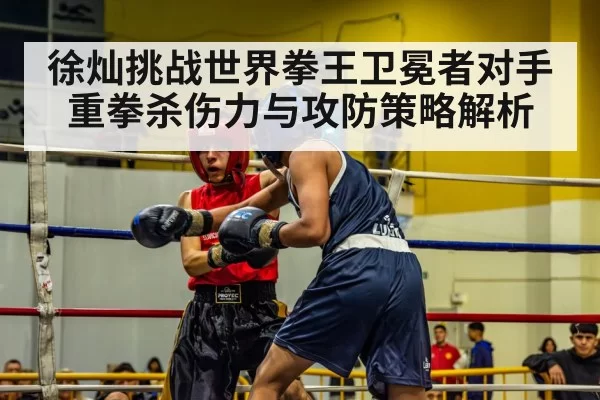 徐灿挑战世界拳王卫冕者对手重拳杀伤力与攻防策略解析