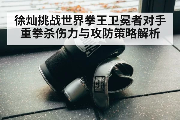 boxing training gloves
