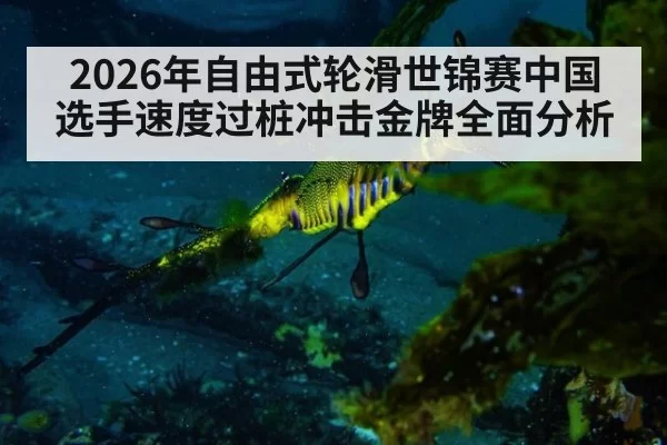 2026年自由式轮滑世锦赛中国选手速度过桩冲击金牌全面分析